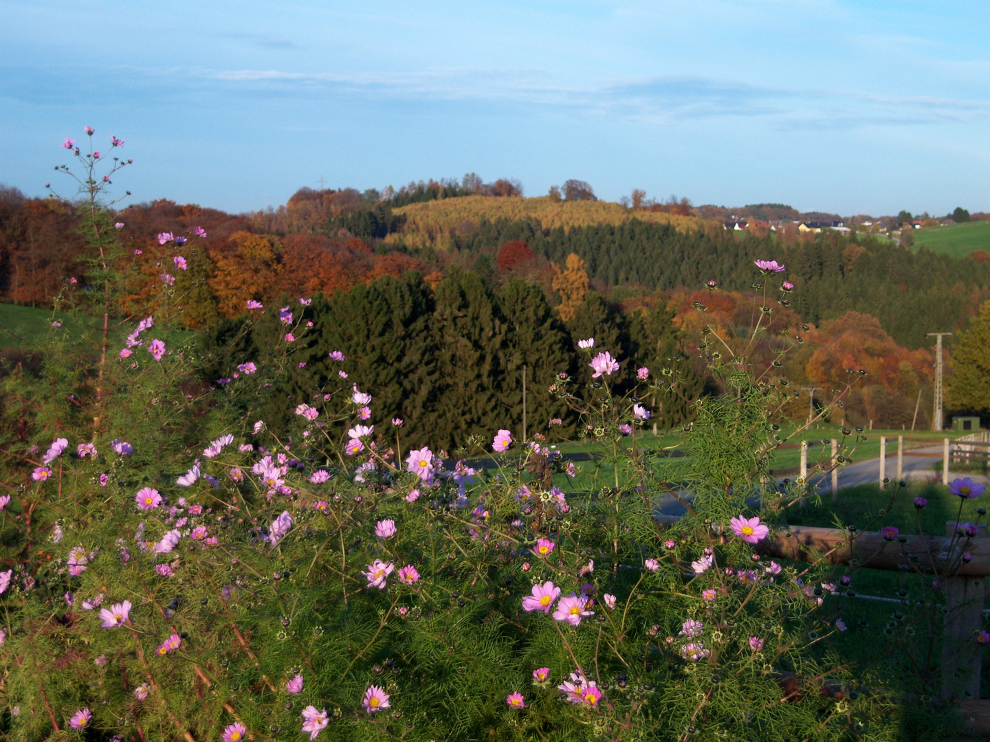 Bergischer Herbst  -7-