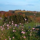 Bergischer Herbst  -7-