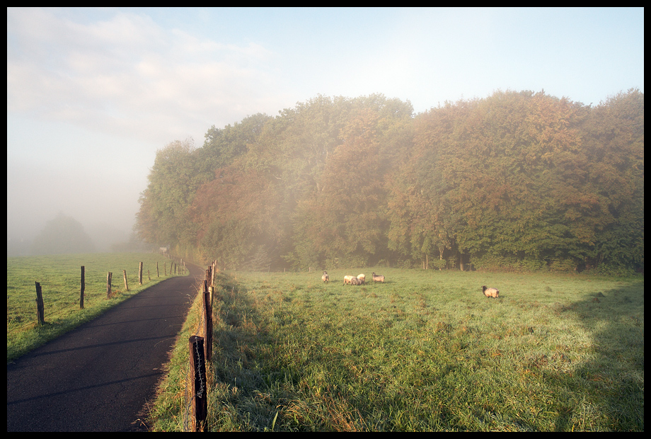 Bergischer Herbst