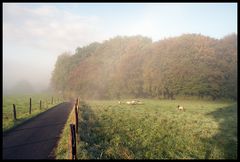 Bergischer Herbst