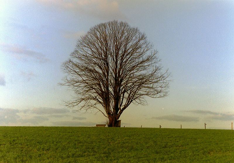 Bergischer Herbst