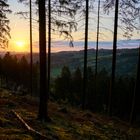 Bergischer Wald