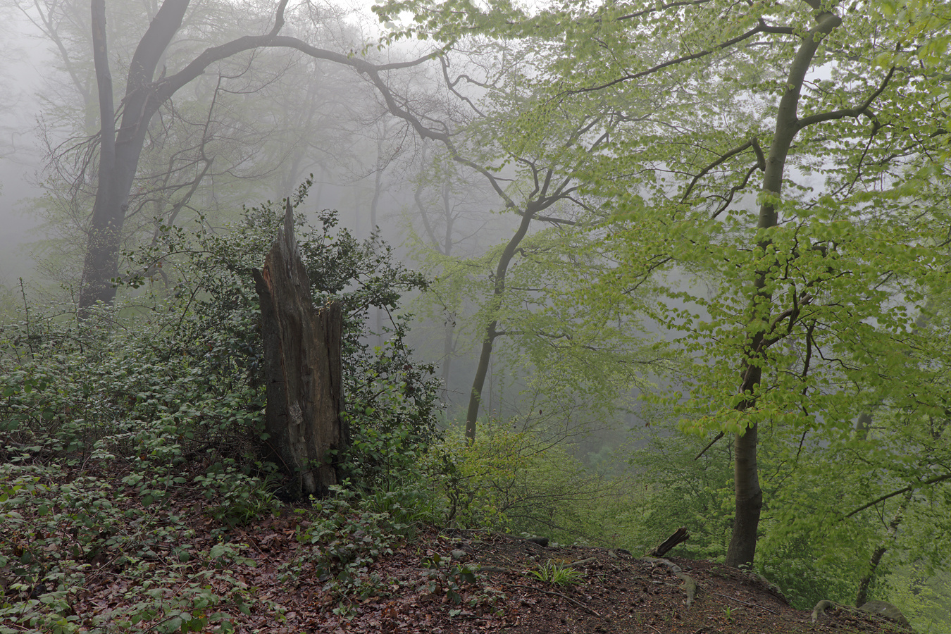 Bergischer Weg bei Essen