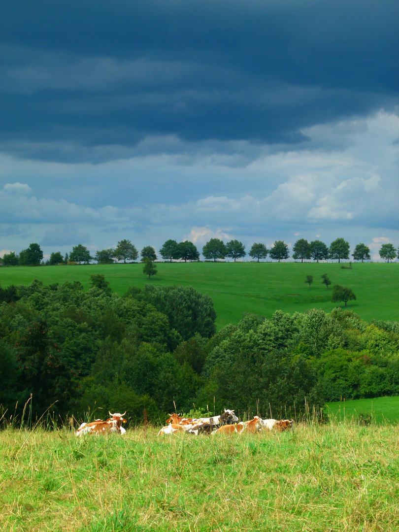 Bergisches-Land