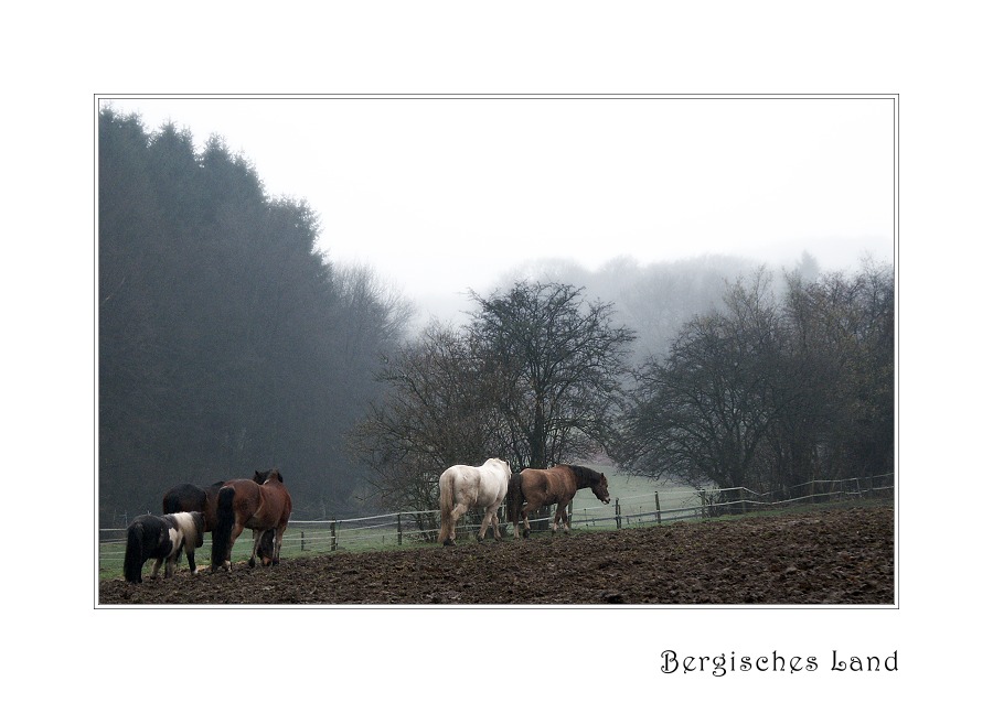 Bergisches Land III