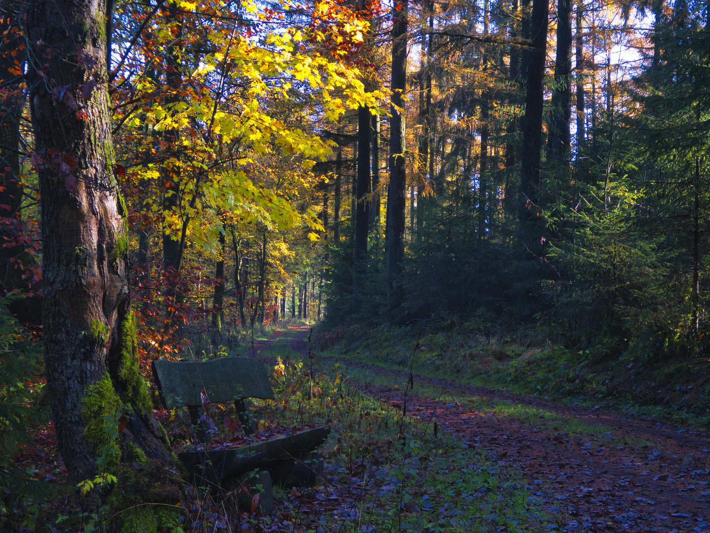 Bergisches Land im Herbst_1050179