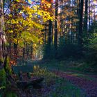 Bergisches Land im Herbst_1050179