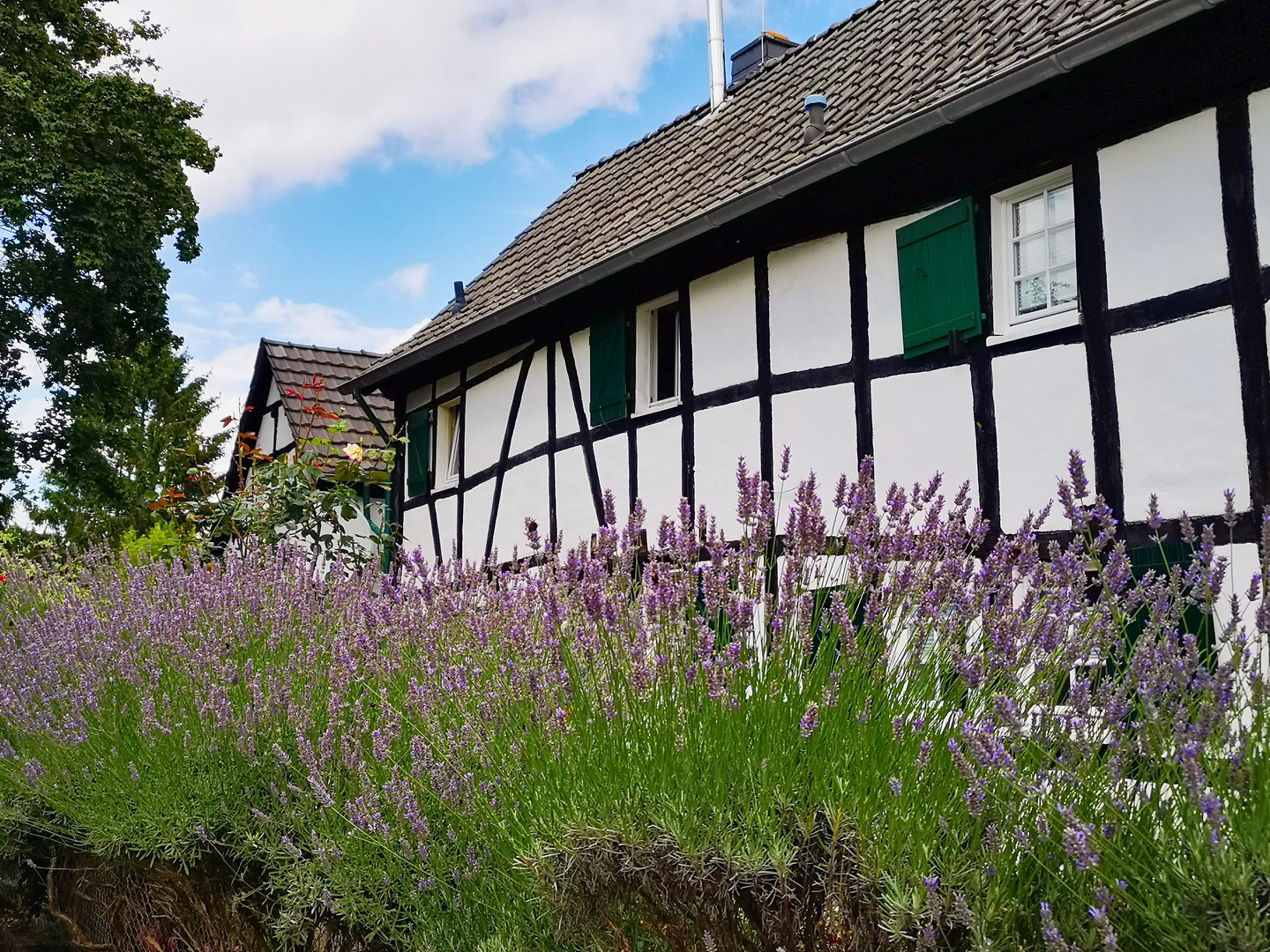 Bergisches Land oder Provence...