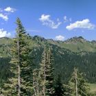 Bergkette bei Mt. Rainer (Washington)