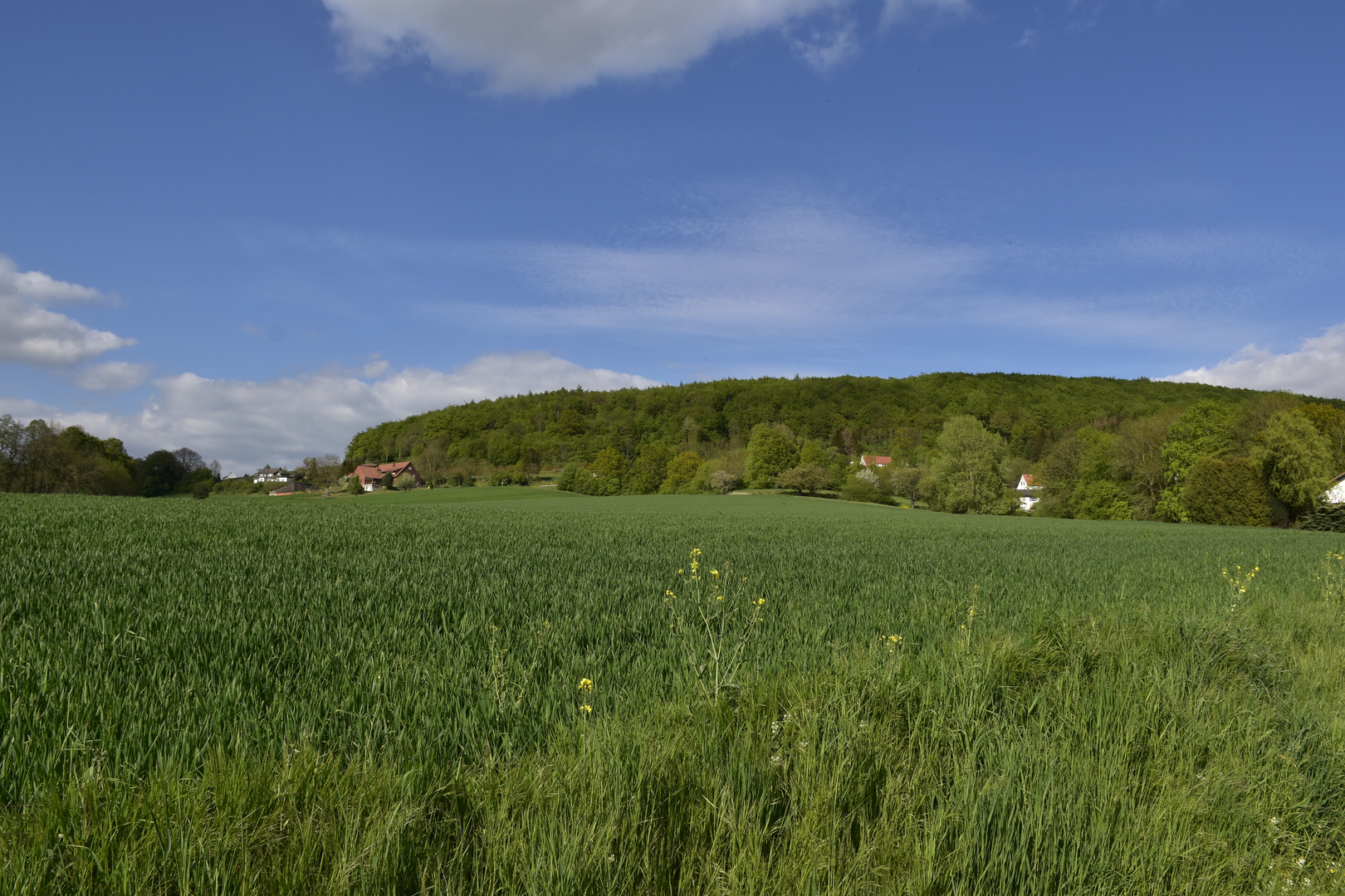 Bergkirchen bei Minden