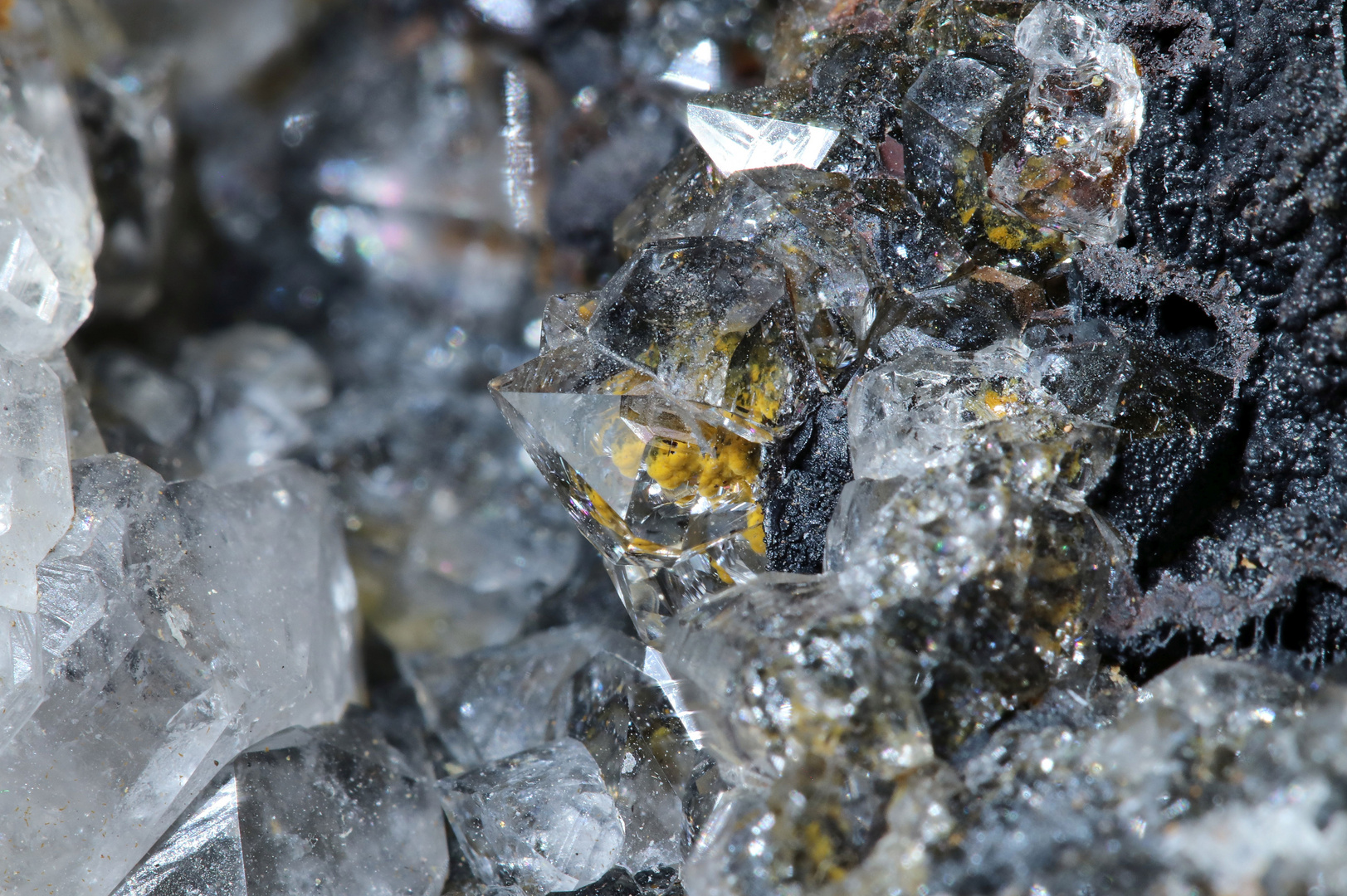 Bergkristall mit Innenleben - Fossile Bakterienstrukturen