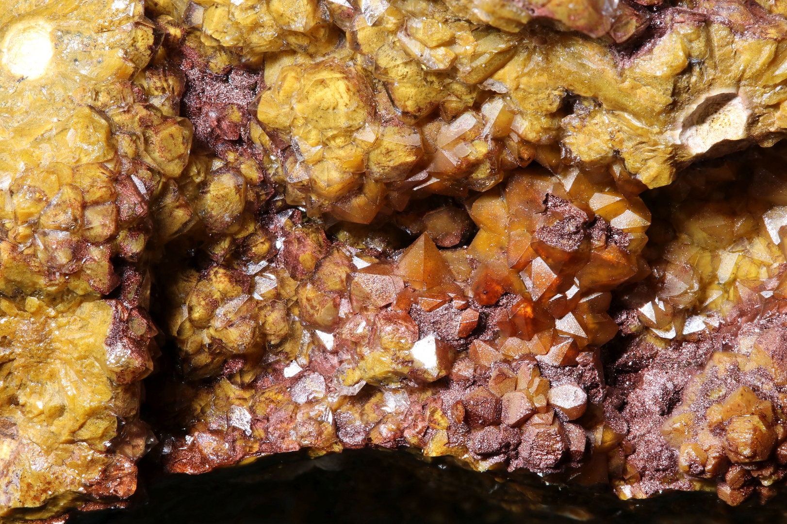 Bergkristall mit Innenleben - Fossile Bakterienstrukturen