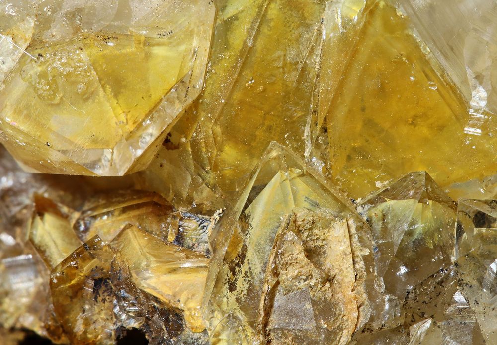 Bergkristall mit Innenleben - Fossile Bakterienstrukturen