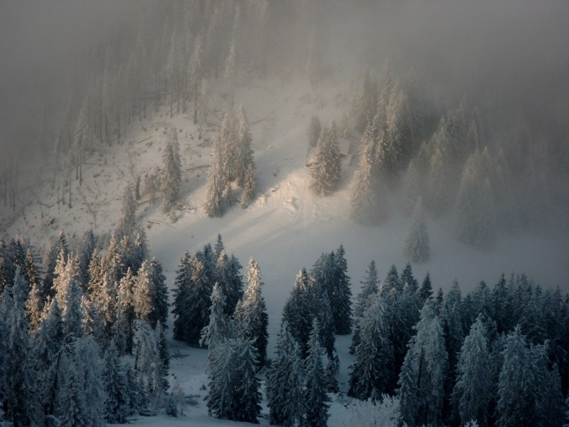 Bergkuppel im Nebel