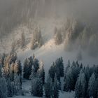 Bergkuppel im Nebel