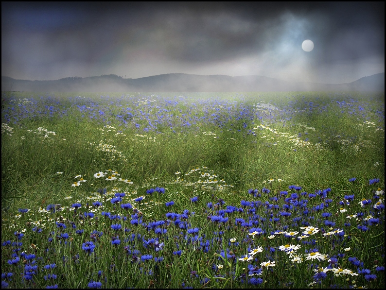 BergLand von Veronika Pinke 