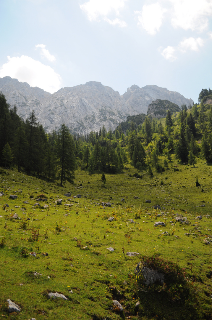 Berglandschaft