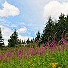 Berglandschaft