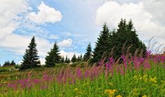 Berglandschaft