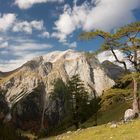 Berglandschaft