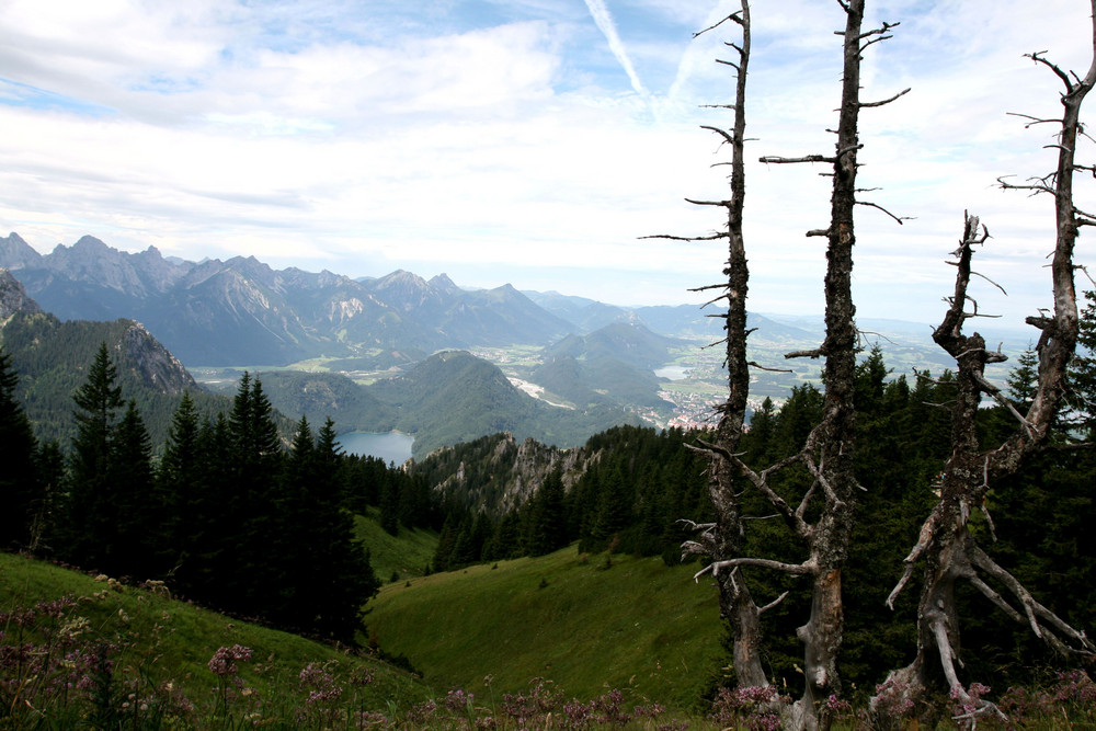 Berglandschaft