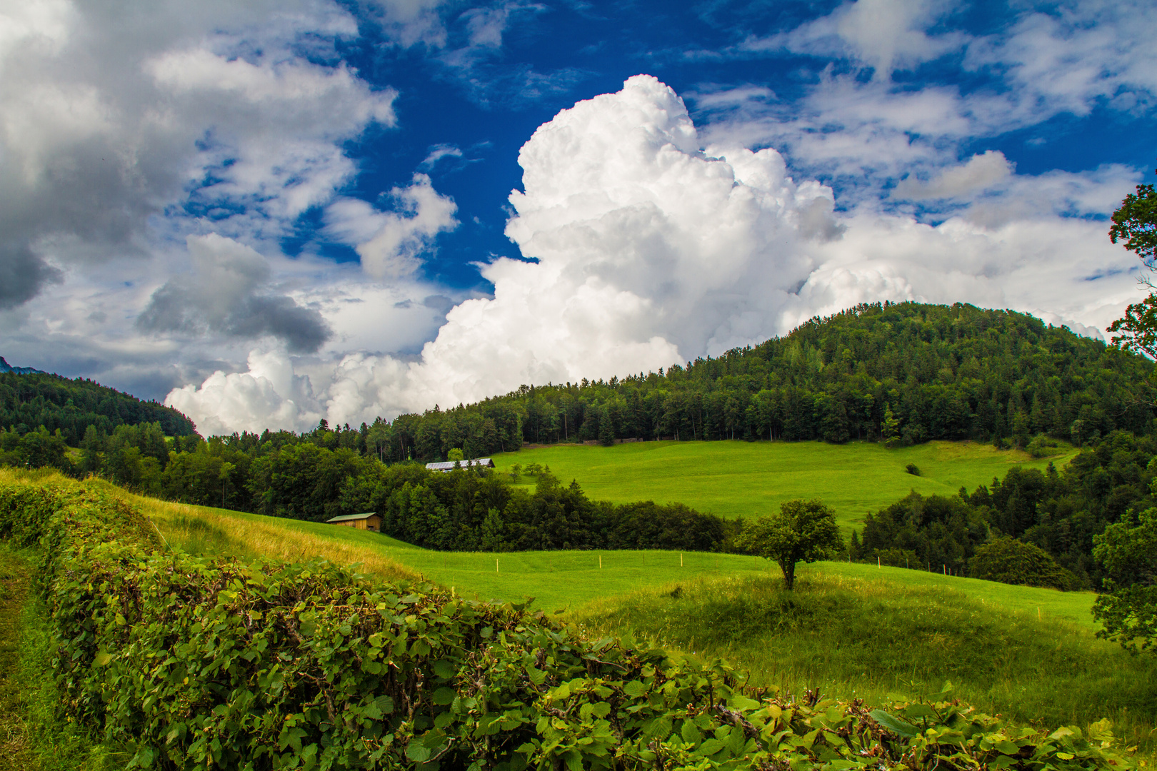 Berglandschaft