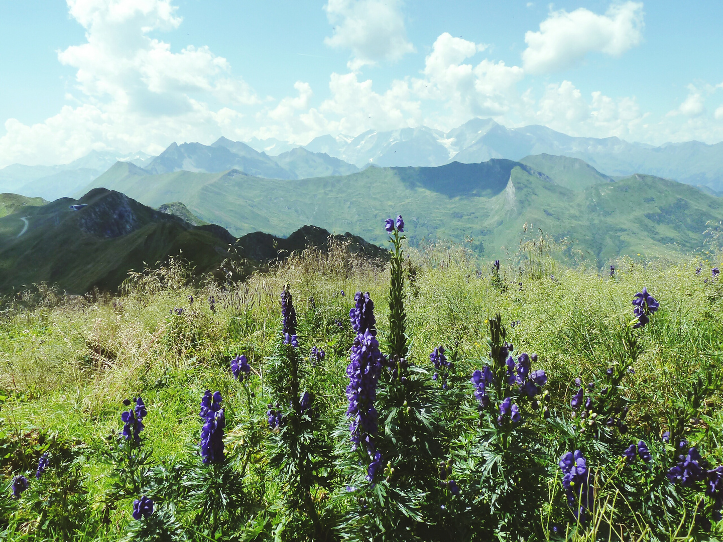 Berglandschaft