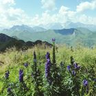 Berglandschaft