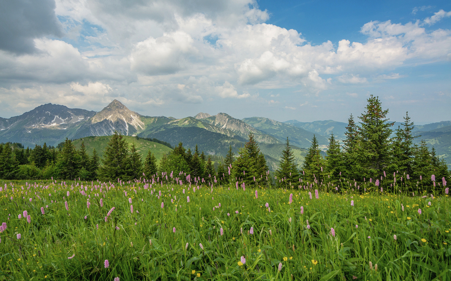 Berglandschaft