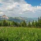 Berglandschaft