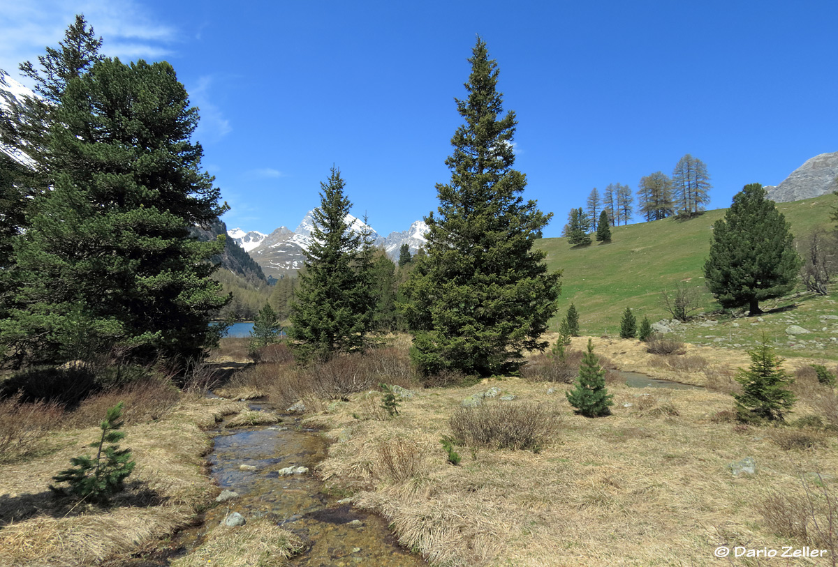 Berglandschaft