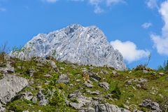 Berglandschaft