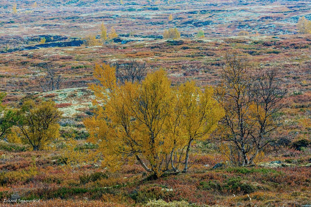 Berglandschaft in Herbstfarben