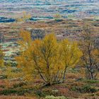 Berglandschaft in Herbstfarben