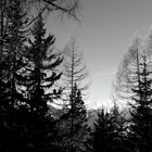 Berglandschaft in Osttirol