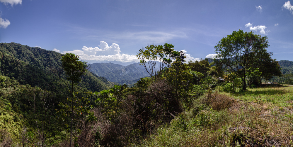 Berglandschaft Kolumbiens 1