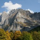 Berglandschaft mit herbstlichem Vordergrund (Berner Oberland / Schweiz)