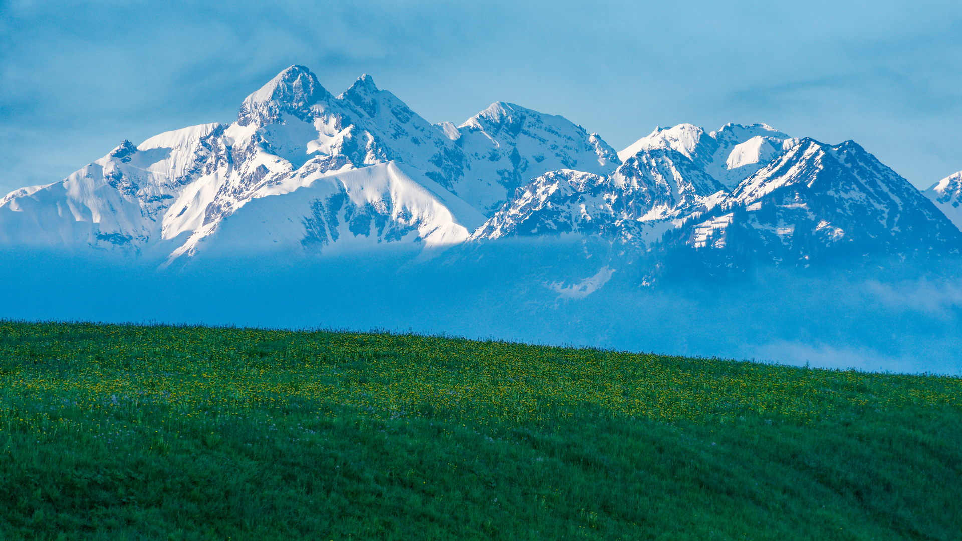 Berglandschaft-Schöllang