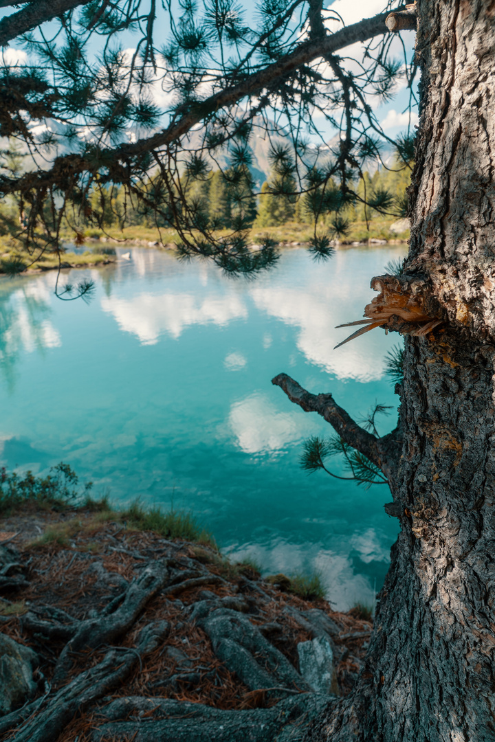 Berglisee 16.7.2018