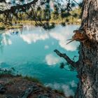 Berglisee 16.7.2018