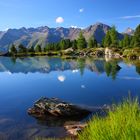 Berglisee