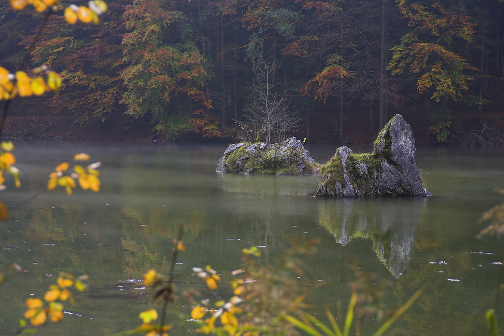 Berglsteiner See, Blick...