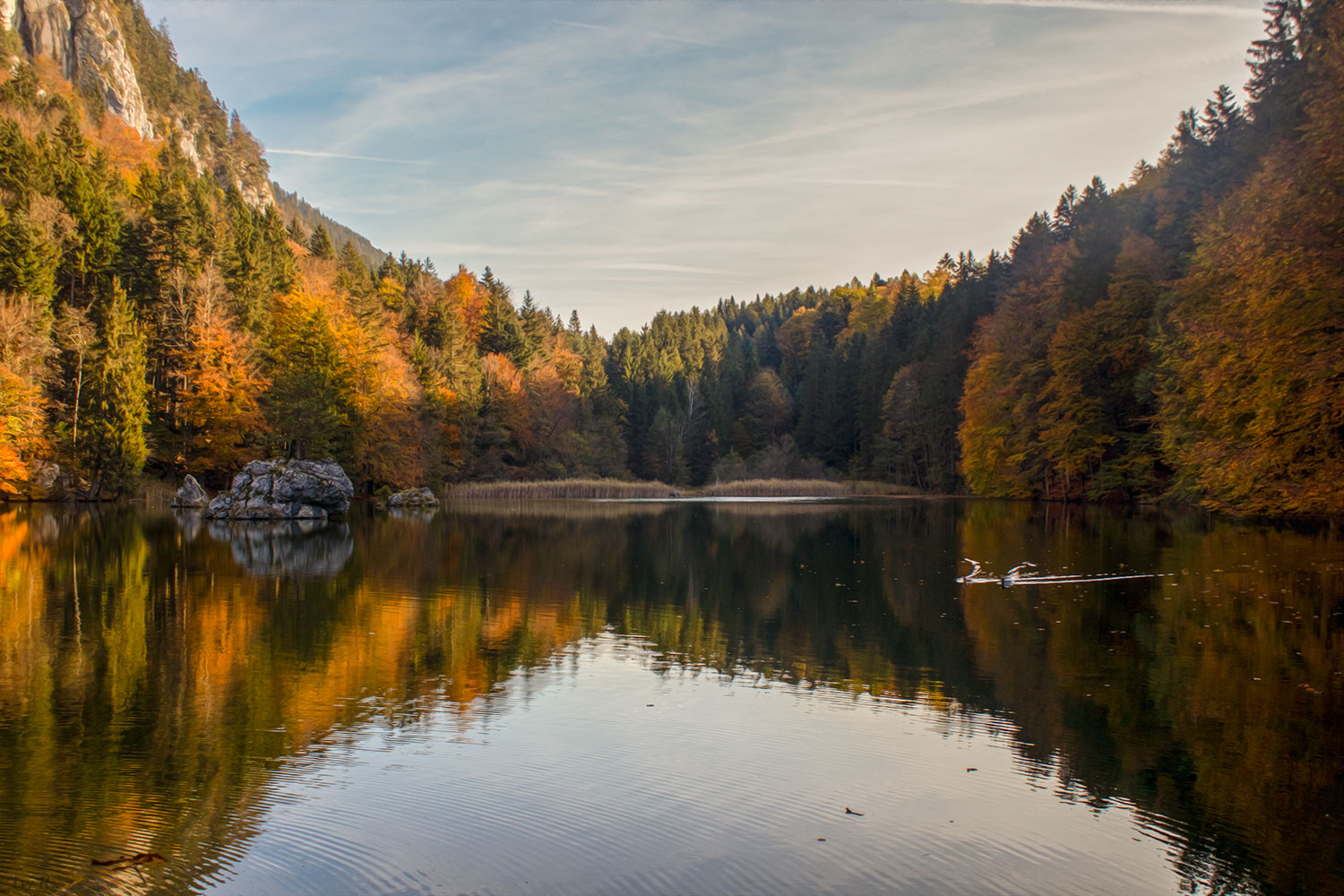 *Berglsteinersee*