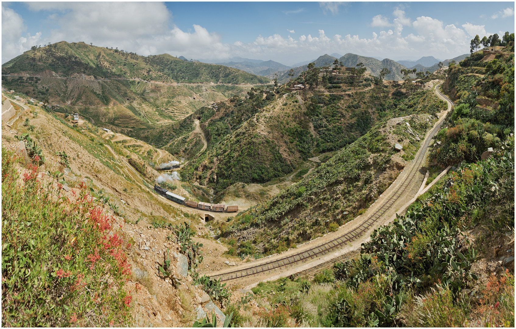 Bergmallets in Eritrea C