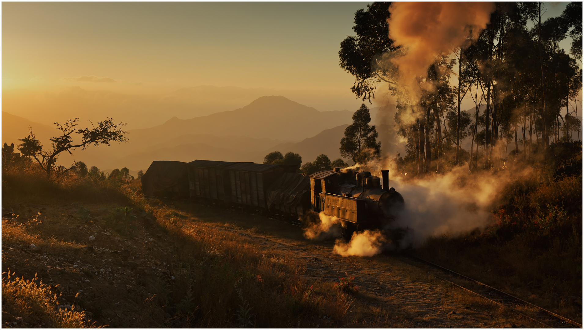 Bergmallets in Eritrea CXI