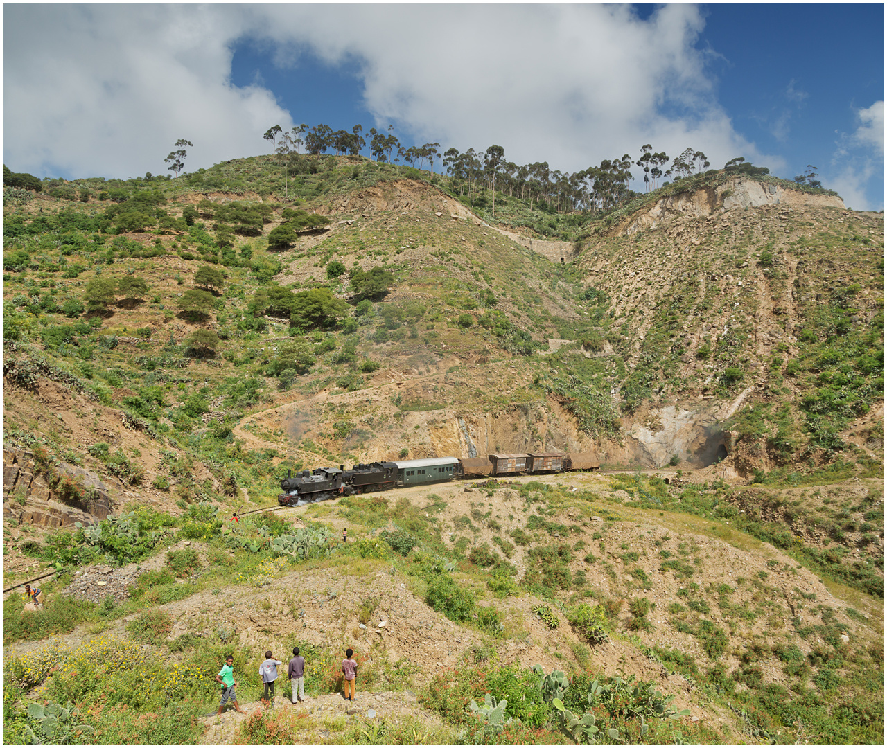 Bergmallets in Eritrea CXL