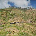 Bergmallets in Eritrea CXL