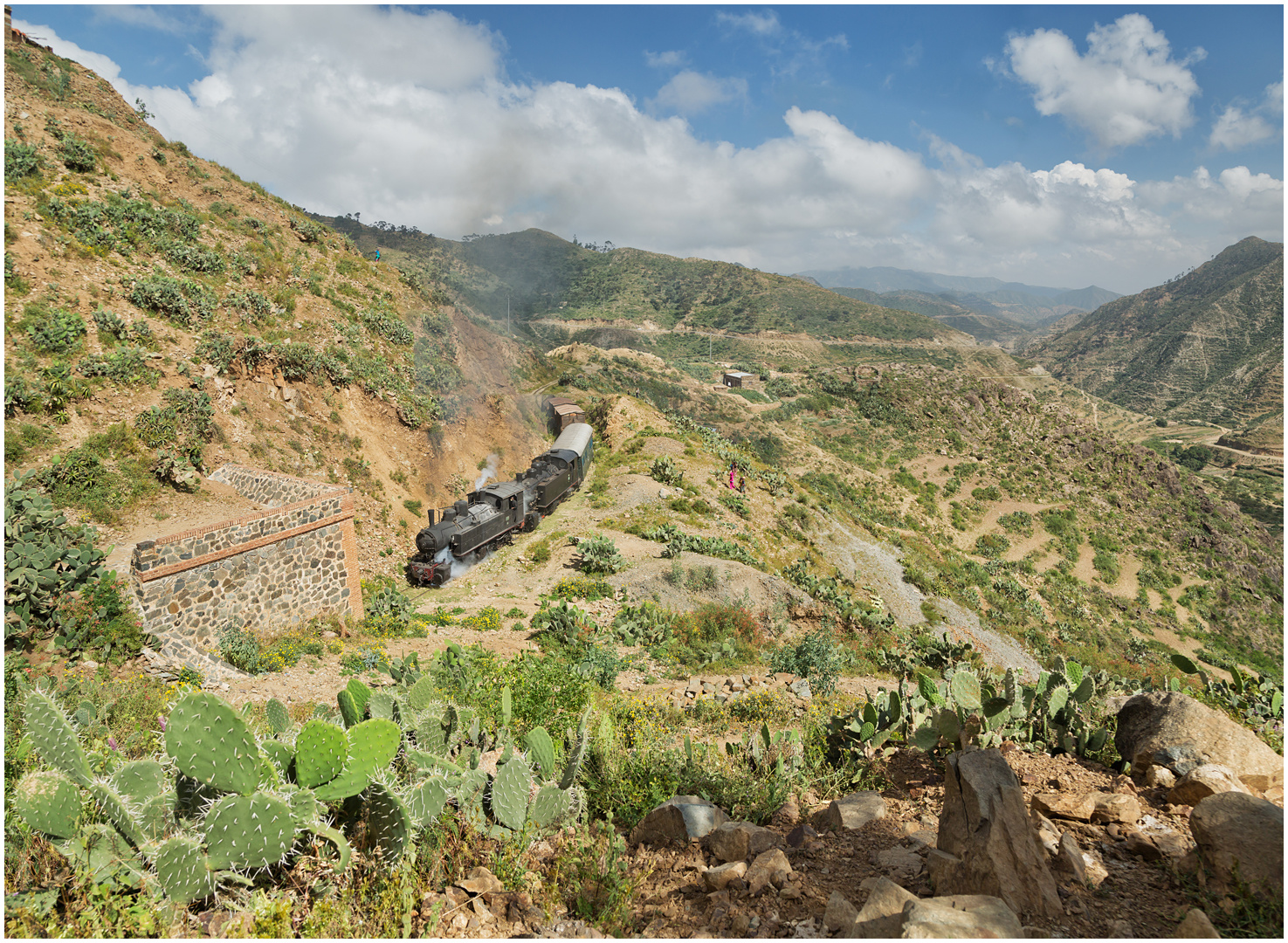 Bergmallets in Eritrea CXLII