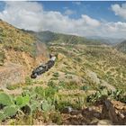 Bergmallets in Eritrea CXLII