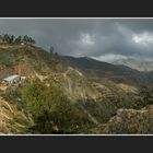 Bergmallets in Eritrea CXLIX